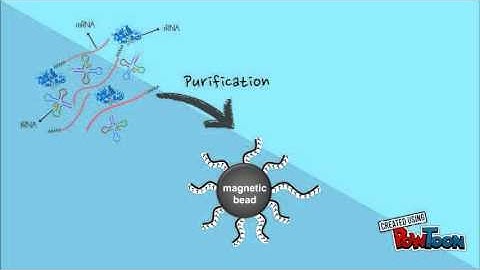 General method in RNA sequencing