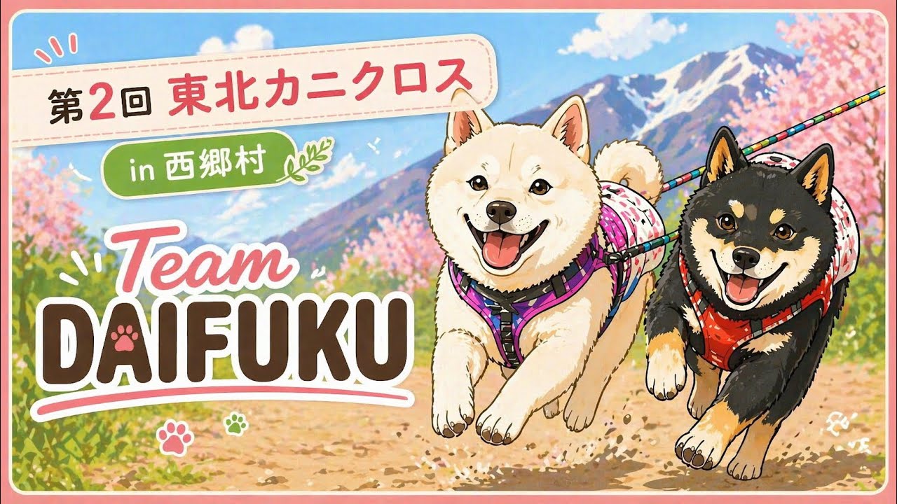 Team DAIFUKU イヌとトレラン】第2回 東北カニクロス in 西郷村 - YouTube