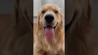 「びすけ」と名前を呼んだらヤバいことに・・・