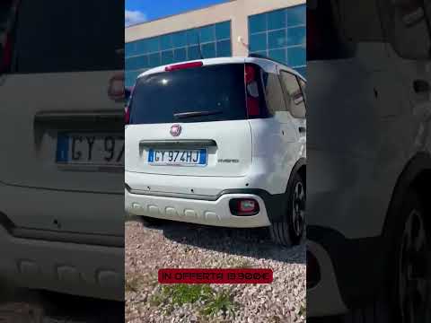 Video Nuovi Arrivi Fiat pandina cross