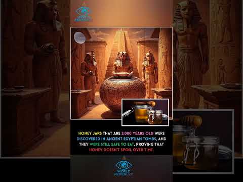 3 000 Year Old Honey Still Edible Nature S Timeless Wonder 