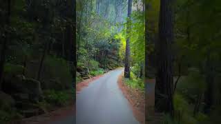 feel the calmness walkthrough forest jungle vibes shorts allahuakbar subhanallah bikeride