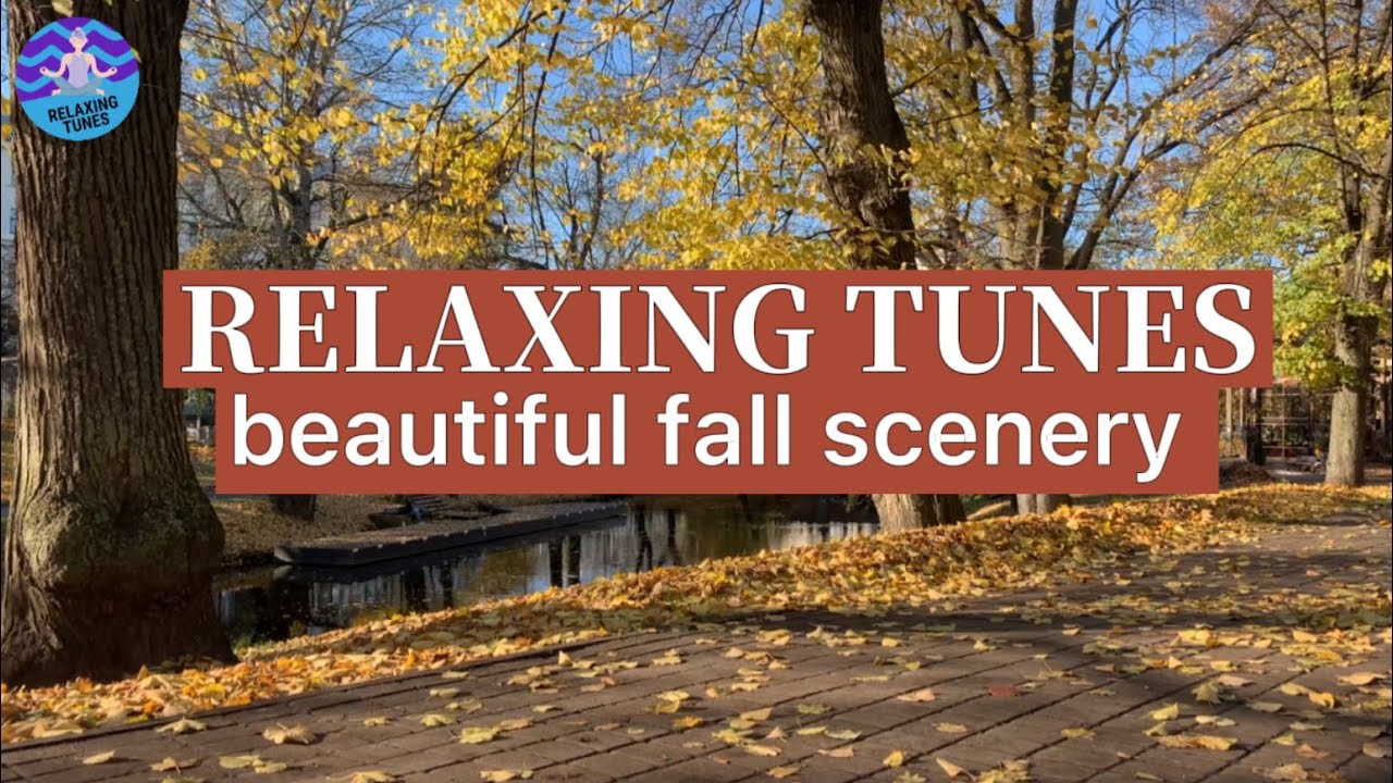 BEAUTIFUL FALL SEASON RELAXATION SOUND MUSIC FOR SLEEP MEDITATION | stress anxiety relief 