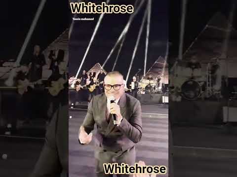 قلبه كالماس عمرودياب