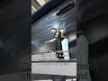 THE WORST DIY PAINT CORRECTION 😩 #auto #funny #comedy #paint
