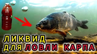 Активатор клёва для Карпа и Карась! СУПЕР ЛИКВИД ДЛЯ РЫБАЛКИ!