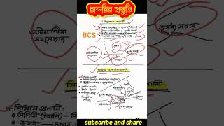 BCS Preparation General Knowledge  important question | প্রণালী থেকে ১ মার্ক থাকে | #bcs #shortfeed