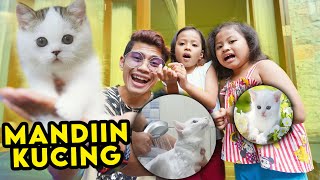 PERTAMA KALI MANDIIN MILY KUCING KITA‼️ DEGDEKAN TAPI SERU‼️😂