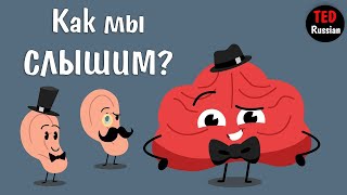 картинка: [TED Ed] Как мы слышим?