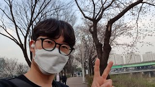 [LIVE] Walk with me in Sindorim, Seoul
