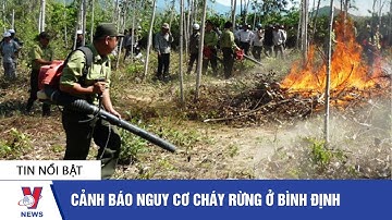 Cảnh báo nguy cơ cháy rừng ở Bình Định - VNEWS
