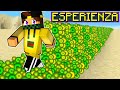 MINECRAFT MA TUTTO QUELLO CHE TOCCO DIVENTA ESPERIENZA