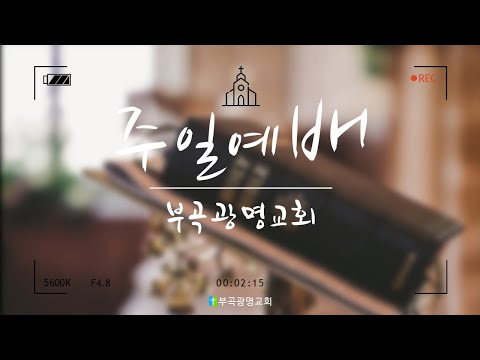 ผลสลากกินแบ่งรัฐบาล วันที่ 1 พย. 2567