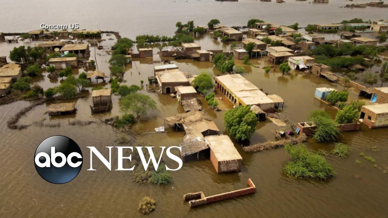 UNICEF on Pakistan floods: ‘Imagine the entire Northeast US under water’ l ABCNL