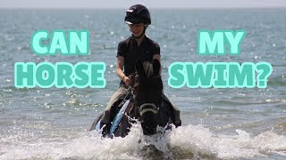 I SWAM ON MY HORSE FOR THE FIRST TIME... GoPro