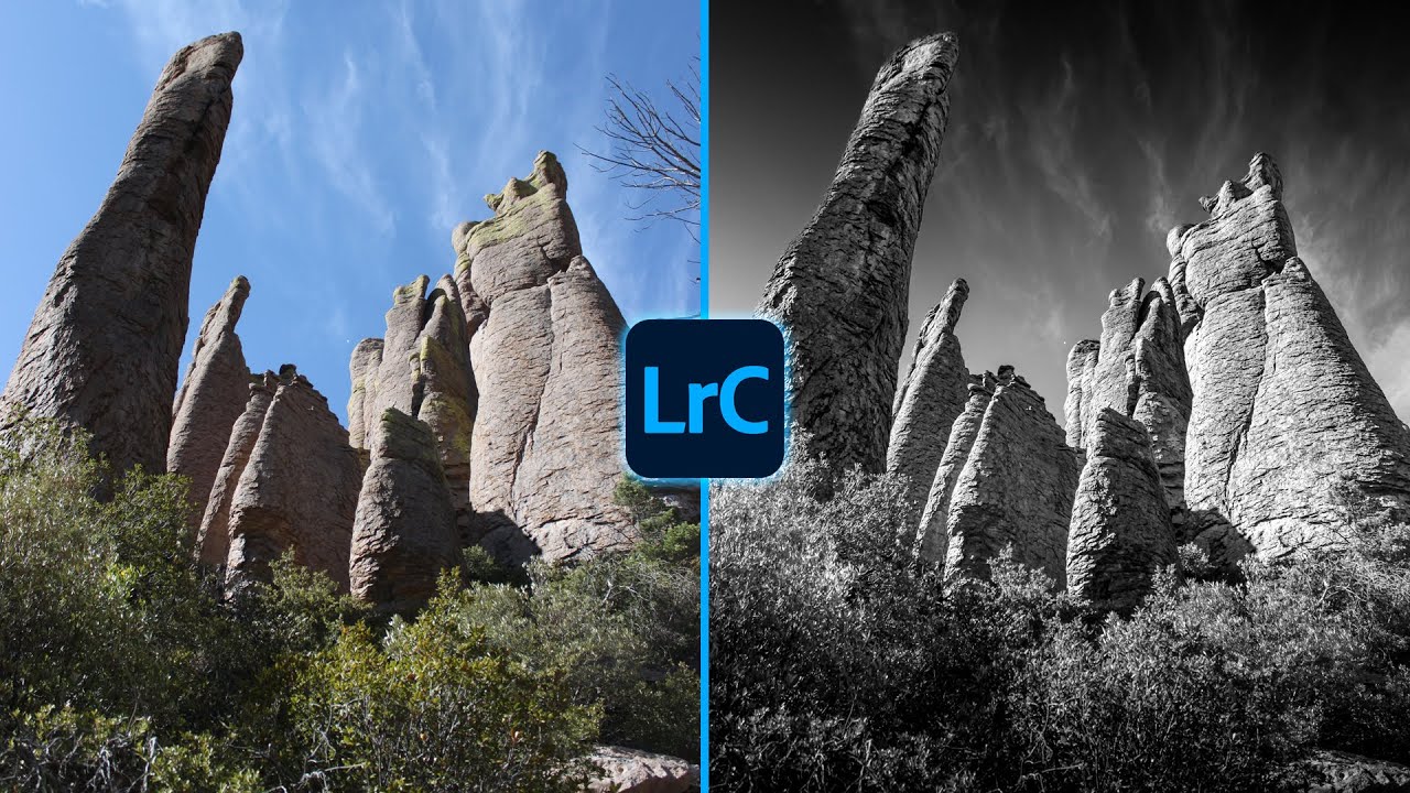 Transform Color Photo Into Fine Art Black and White Image