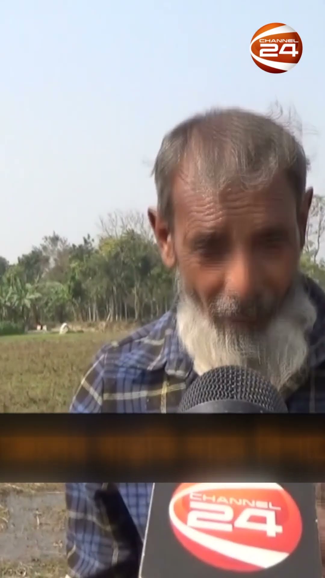 সার-ডিজেলের বাড়তি দামে বিপাকে কৃষক  #ChuadangaNews #ChuadangaFarmers #Krishi24 #Bororice #Channel24