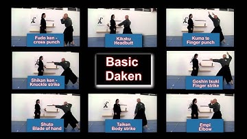Basic Ninjutsu strikes - interactive