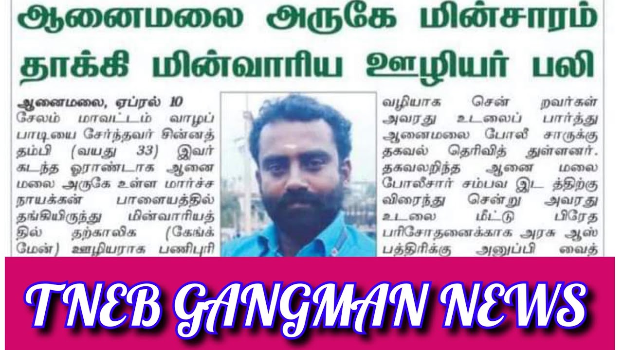 TNEB | TNEB GANGMAN | TANGEDCO GANGMAN LATEST NEWS | TANGEDCO GANGMAN OFFICIAL NEWS | TNEB TODAY |