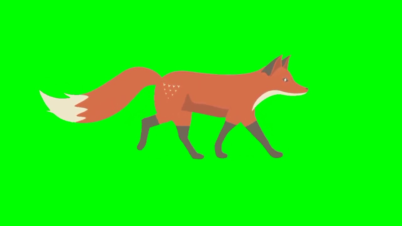 Fox Cartoon green screen video 🌸 