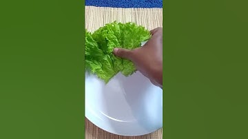 Thumbnail of Daily short: Plating idea
