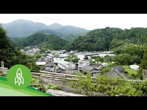 Vidéo: Contribution à La Science Réglementaire Et Un Prochain Défi De La Japanese Environmental Mutagen Society (JEMS)