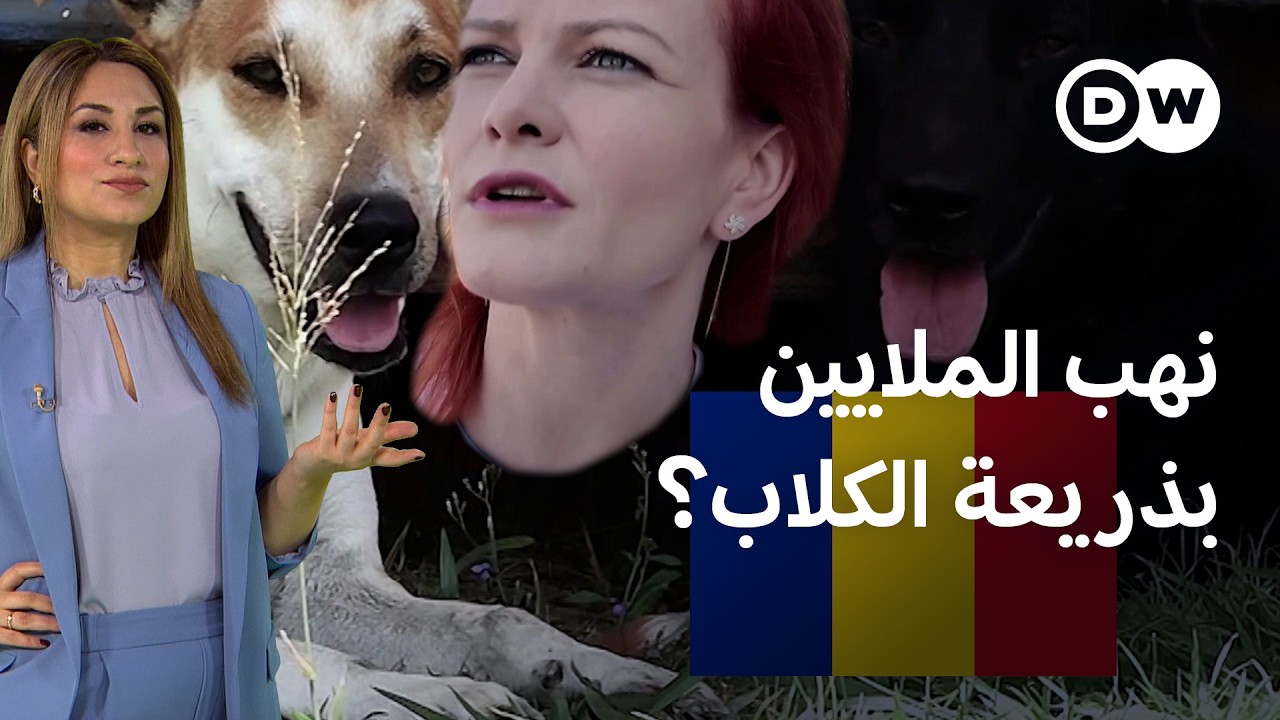 ���� ������� ��������� ���� ����� ������ �� ������ǿ | ���� ��� ������
 - نشر قبل 22 دقيقة
