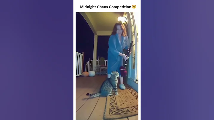 Video 11776301: funny cat compilation, cat funny love, cat sleeping, pets