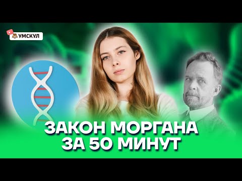 Видео: Почему Томас Хант Морган использовал плодовых мушек для своих генетических экспериментов?