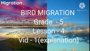 Bird Migration, grade - 5, L - 4 explanation