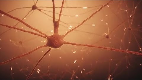 Active neurons Stock Motion Graphics
