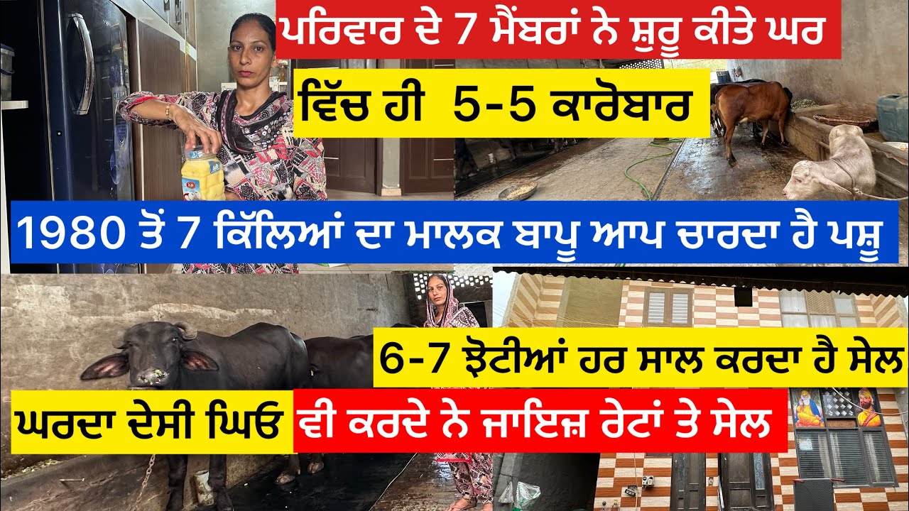 ਪਰਿਵਾਰ ਦੇ 7 ਮੈਂਬਰਾਂ ਨੇ ਸ਼ੁਰੂ ਕੀਤੇ ਘਰ ਵਿੱਚ ਹੀ 5-5 ਕਾਰੋਬਾਰ ,6-7 ਝੋਟੀਆਂ ਕਰਦੇ ਨੇ ਹਰ ਸਾਲ ਸੇਲ ਦੇਸੀ ਘਿਓ ਵੀ…