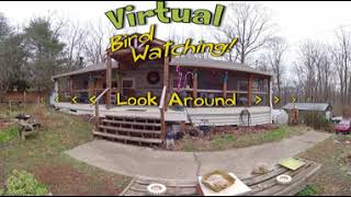 360 8k Early Winter Bird Watching in Middle, TN United States