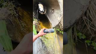 Jbl essential 2 water test