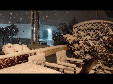 Γερακας-15.02.21