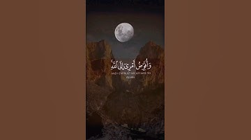 وَأُفَوِّضُ أَمْرِي إِلَى اللَّهِ ||❤️|| سورة غافر - الآية 44 🌿
