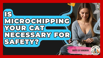 Is Microchipping Your Cat Necessary For Safety? - Happy Cat Handbook