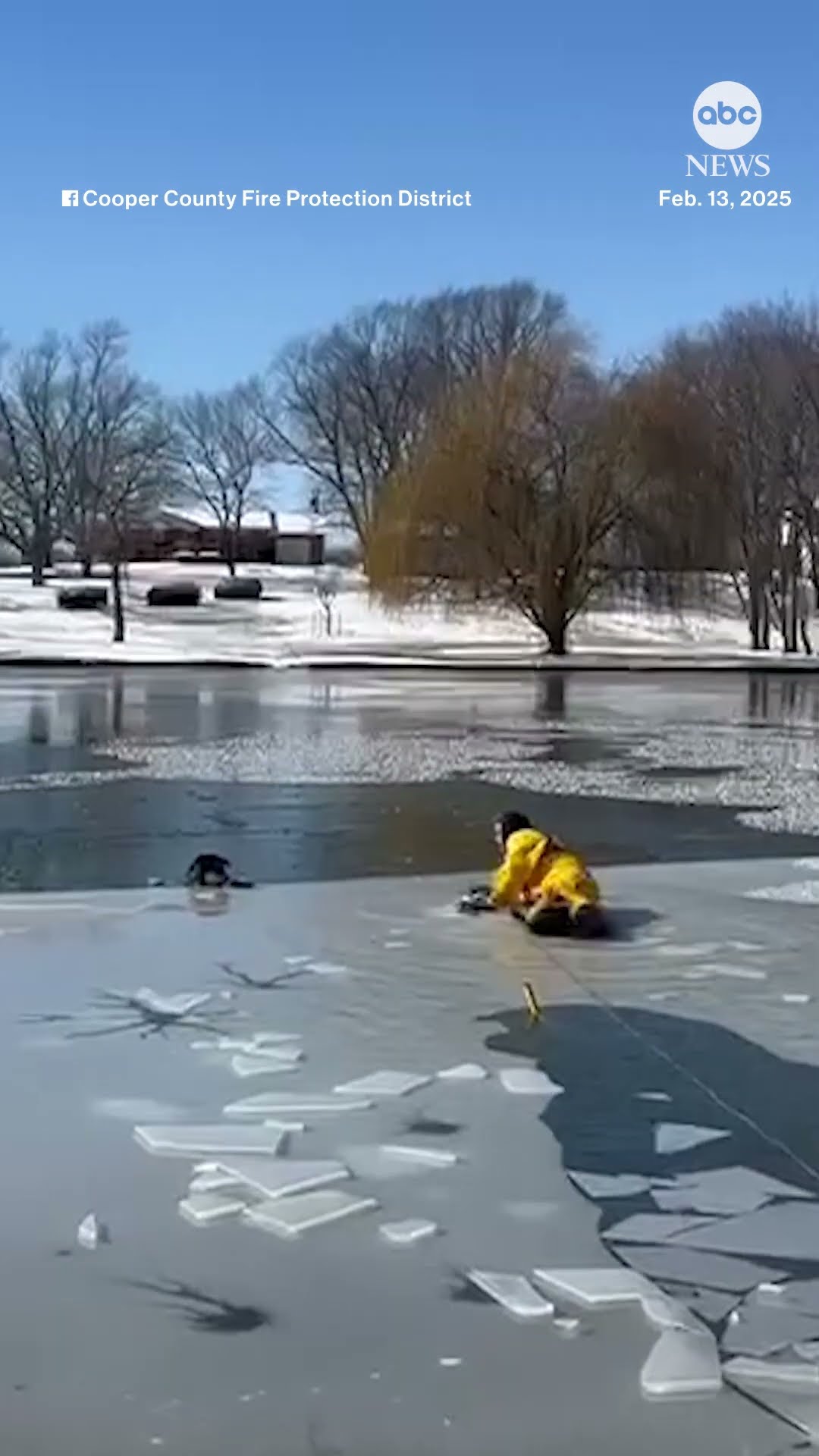 Firefighters rescue dog from frozen pond