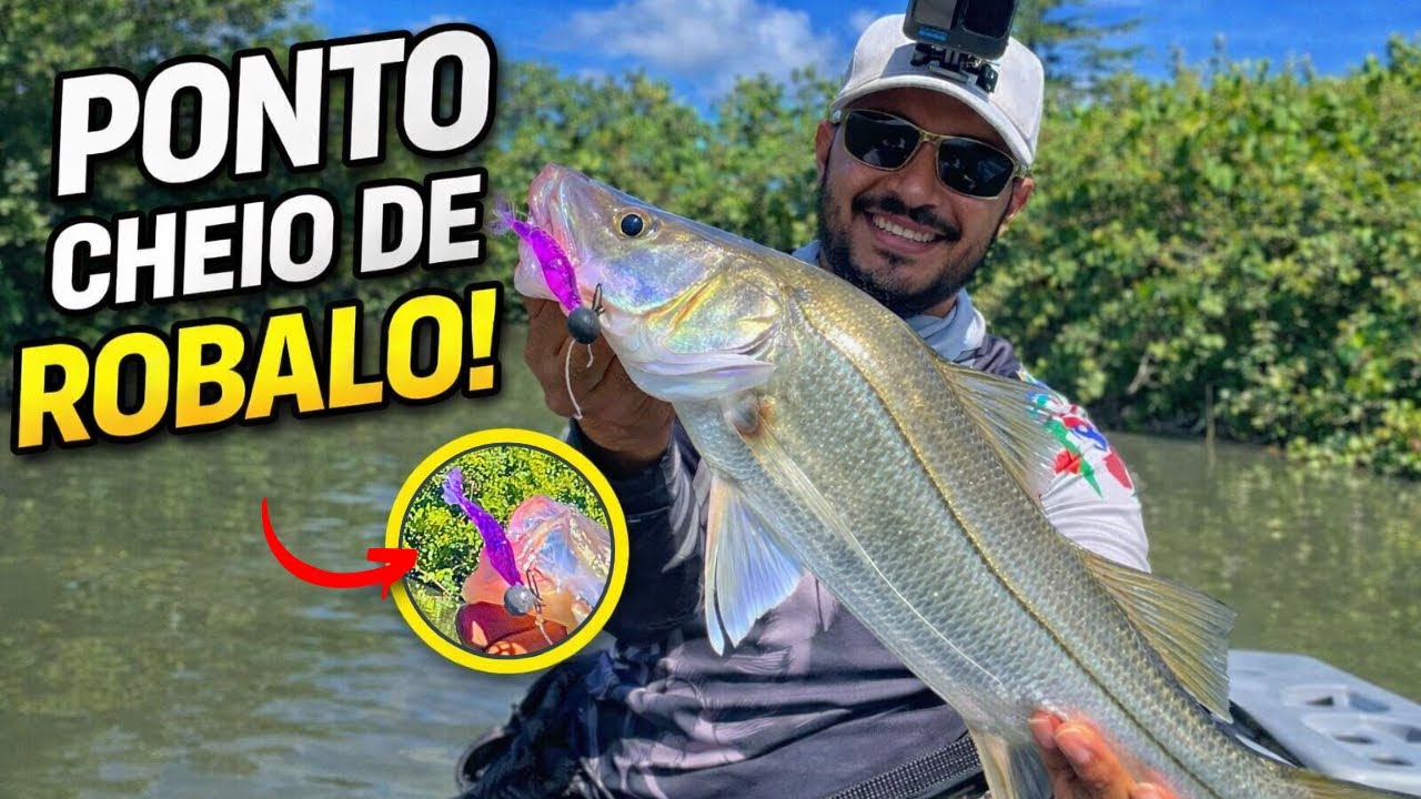 ACHEI VÁRIOS PONTOS CHEIOS DE ROBALO! 😱🎣 ENSINO COMO USAR O SONAR