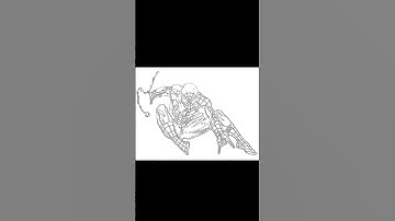 spiderman  #spiderman #shorts  #marvel #avengers  #funny #pythonturtle #trending #ytshorts #ytshort