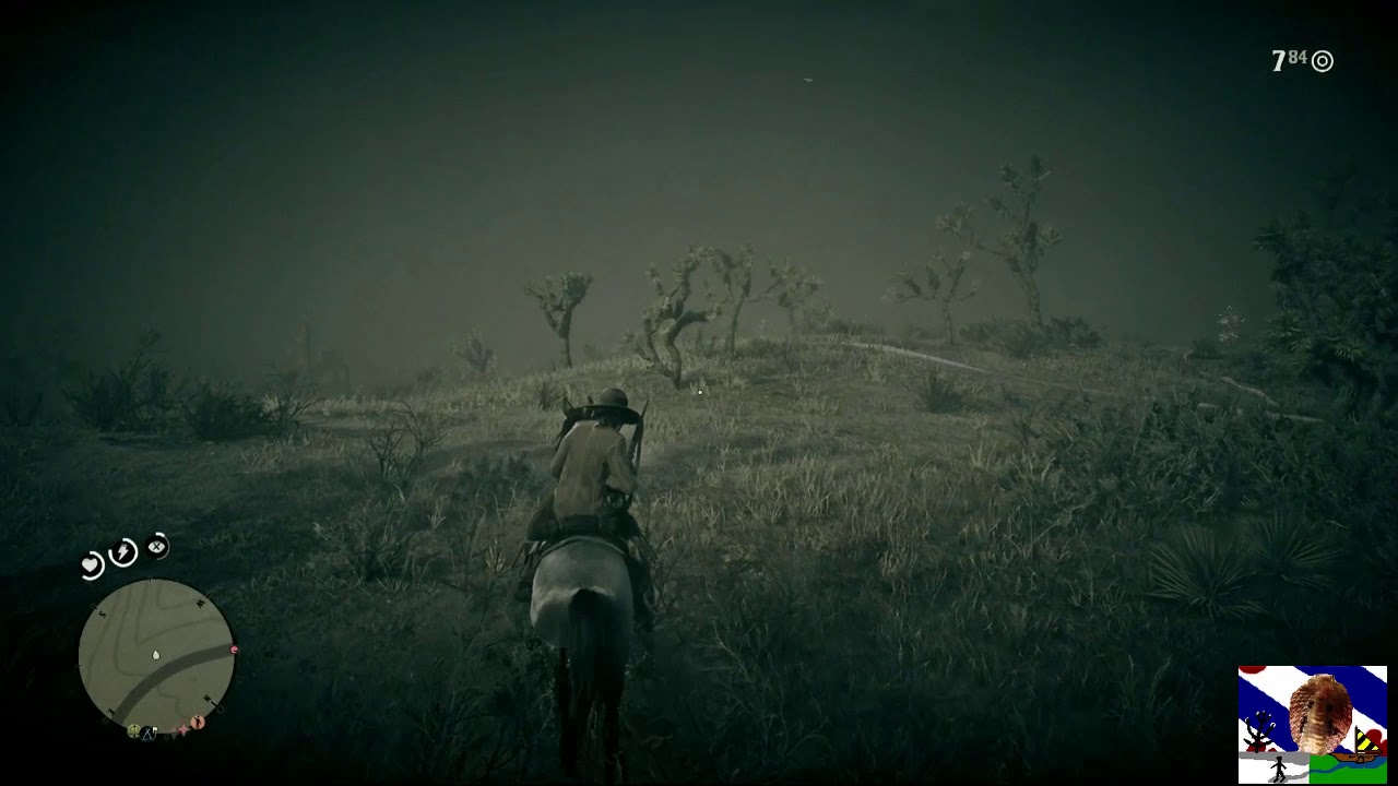 defensive interval ratio SnakeFriesia Red Dead ONLINE Hunting Tumbleweed to San Luis River BEFORE the april 2019 update