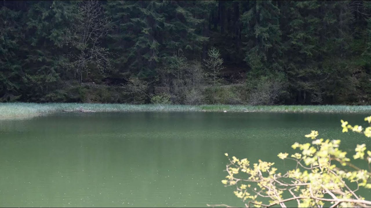 Колядки буковини