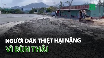 Bình Định: Người dân thiệt hại nặng vì bùn thải | VTC14
