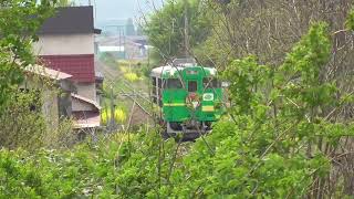 JR五能線　りんごの花 風っこ号【キハ48形 びゅうコースター風っこ・9826D】　2022.05.07