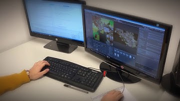 We are the Plague dev log #2