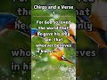 Chirps and a Verse 1
