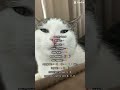 Updated! (Other one got deleted) #fypシ゚viral #giveusourstolenmoneyback #plsmakeitviralasap #hey #cat