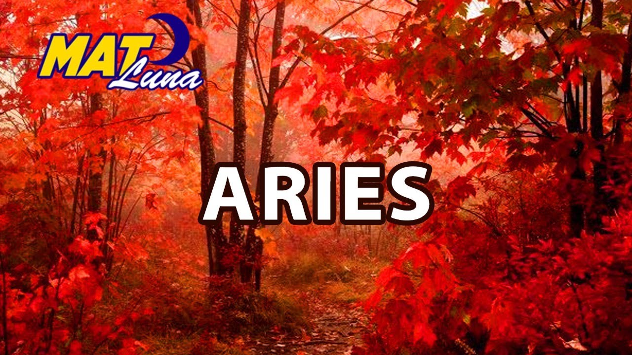 ARIES JULIO 2020 😱 ️UN NUEVO AMOR EN PUERTA Y UN AMOR DEL PASADO ...