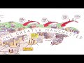 The evolving greater manchester health and social care landscape  an animation