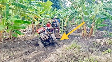 xe công nông 2 câu chở chuối không chịu được đầm lầy lội và cái kết cuộc sống của KIU 81